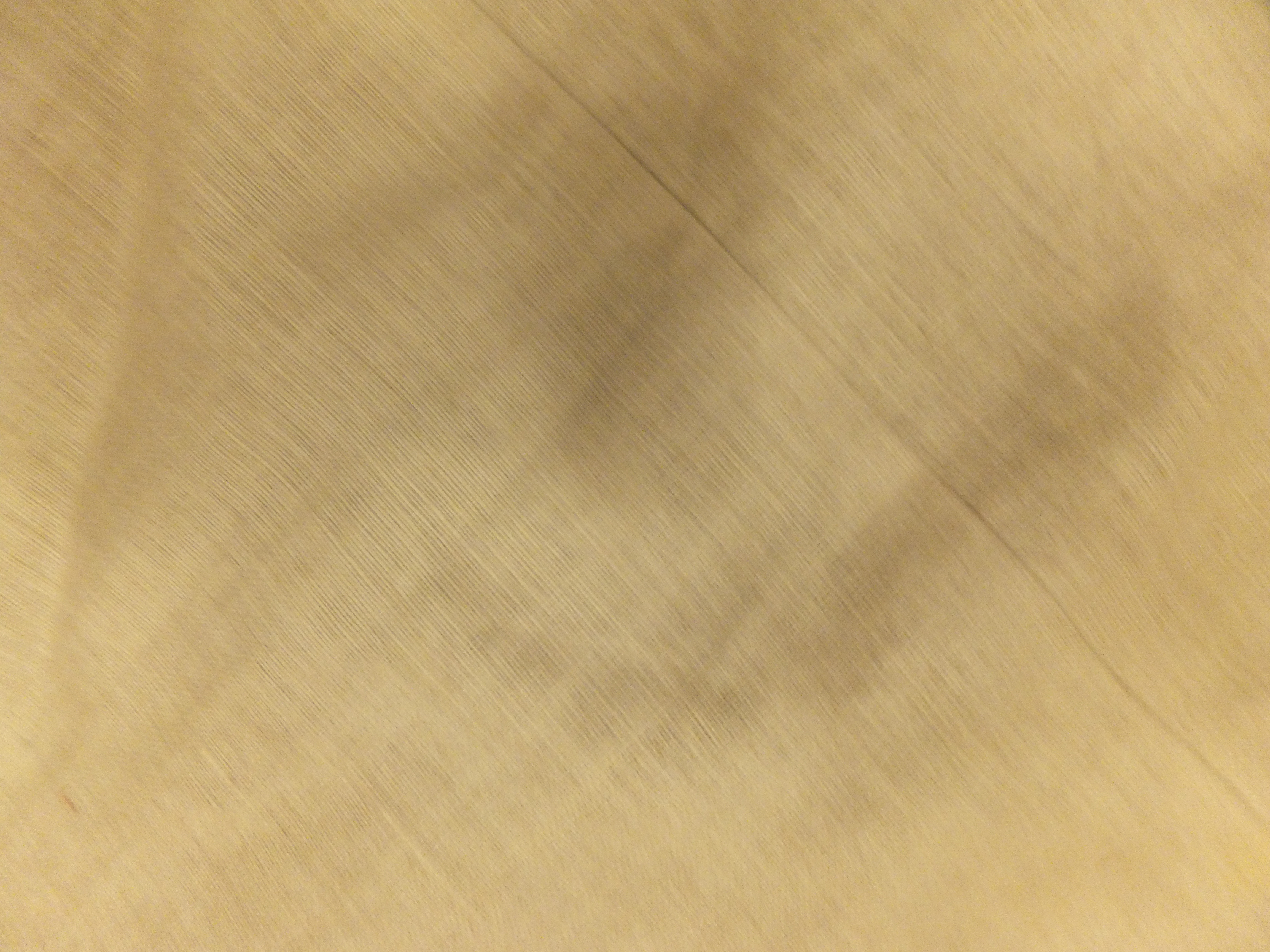 Rug image